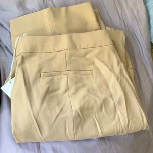 JCrew women’s dress pants size 16